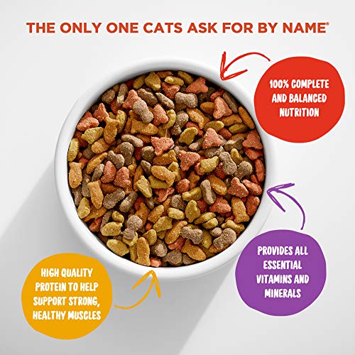 Meow Mix Original Choice Dry Cat Food - Complete Nutrition (6.3 lb)