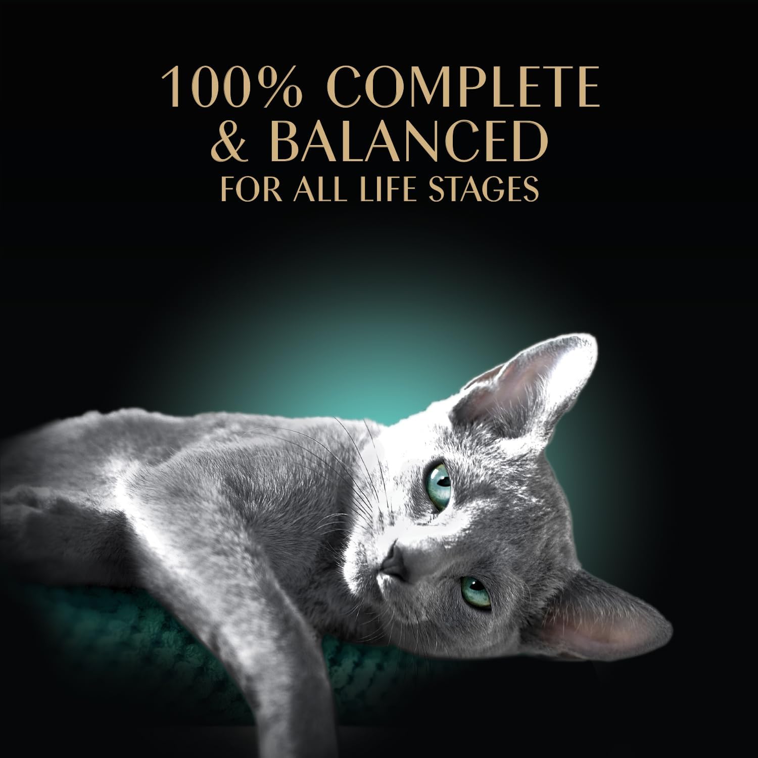 Sheba Perfect Portions Wet Cat Food Pate with Sustainable Salmon and Tender Whitefish & Tuna Entree Variety Pack, 2.6 oz. Twin-Pack Trays (12 Count, 24 Servings) (Pack of 2)
