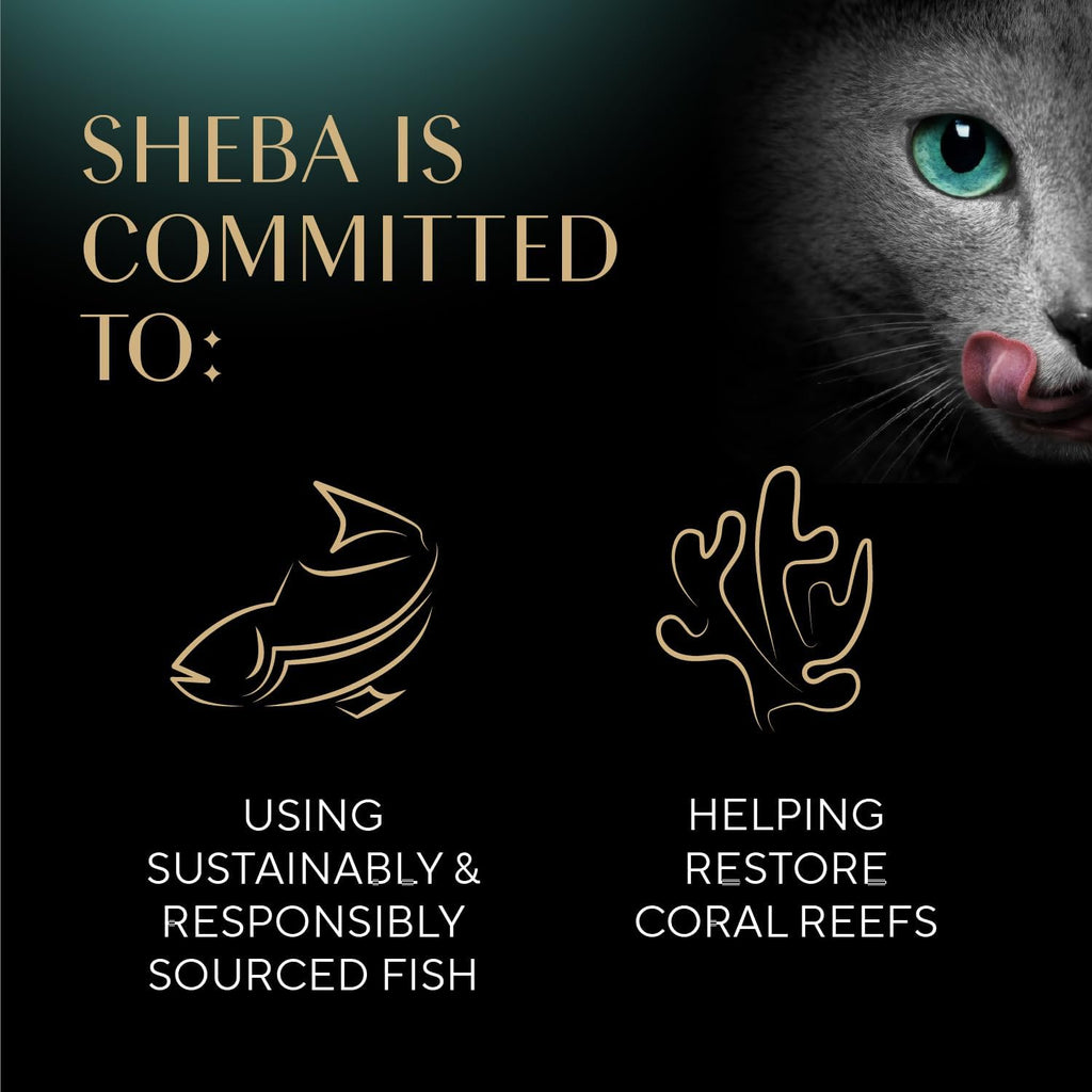 Sheba Perfect Portions Wet Cat Food Pate with Sustainable Salmon and Tender Whitefish & Tuna Entree Variety Pack, 2.6 oz. Twin-Pack Trays (12 Count, 24 Servings) (Pack of 2)