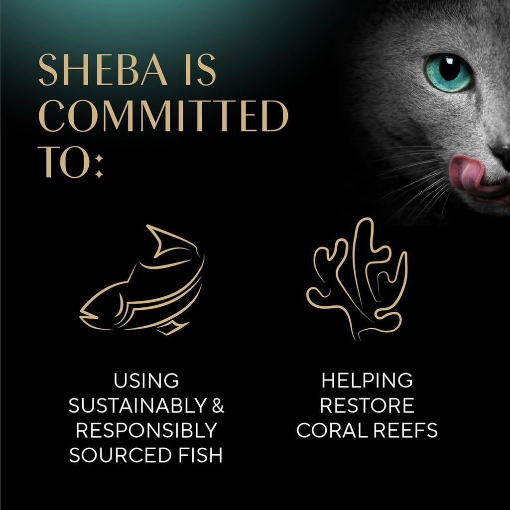 Sheba Perfect Portions Wet Cat Food Pate with Sustainable Salmon and Tender Whitefish & Tuna Entree Variety Pack, 2.6 oz. Twin-Pack Trays (12 Count, 24 Servings) (Pack of 2)