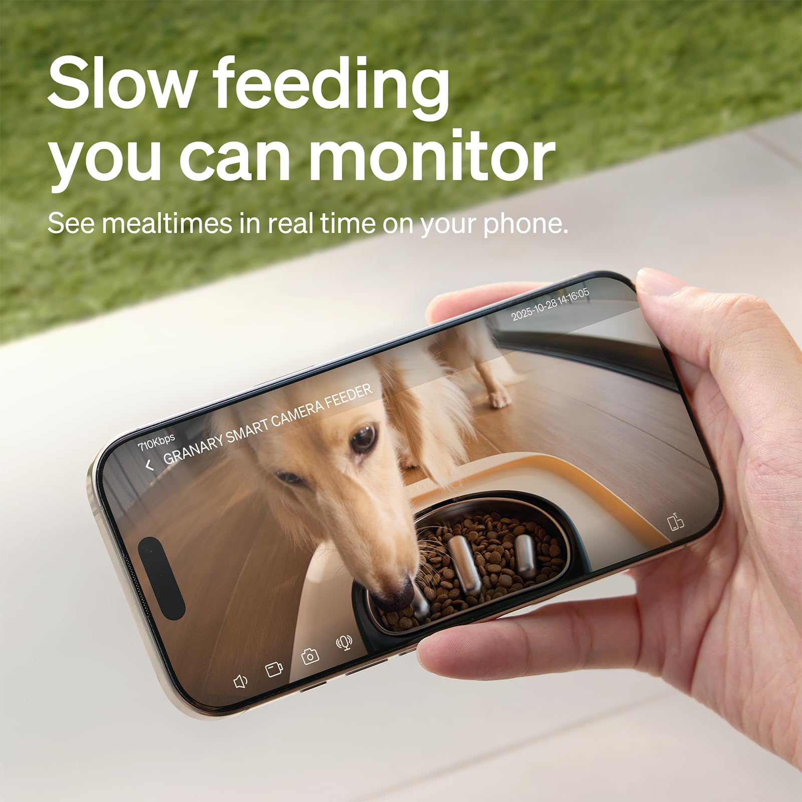 PETLIBRO Automatic Cat Feeder with Camera, 1080P HD Video with Night Vision, 5G WiFi Pet Feeder with 2-Way Audio, Low Food & Blockage Sensor, Motion & Sound Alerts for Cat & Dog Single Tray