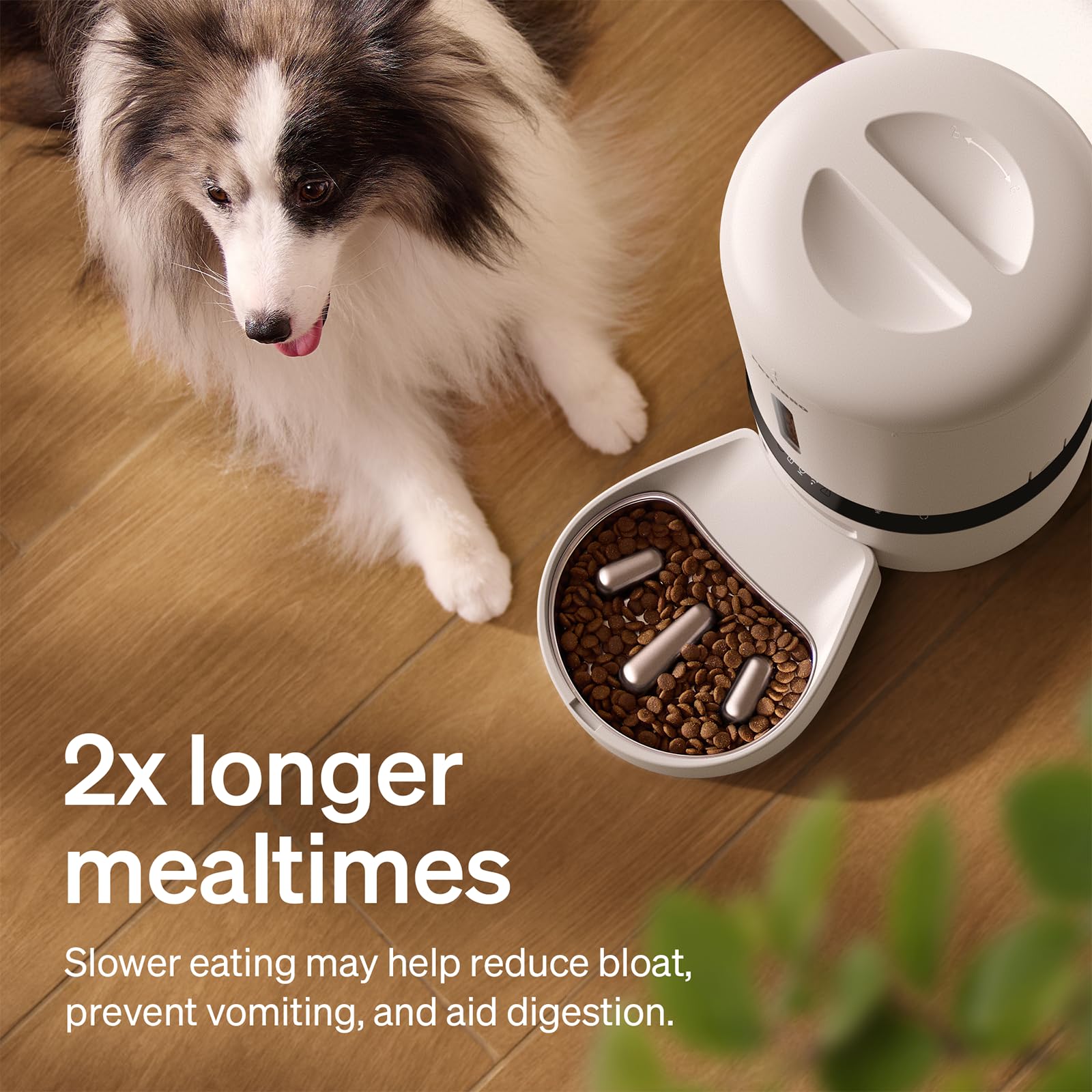 PETLIBRO Automatic Cat Feeder with Camera, 1080P HD Video with Night Vision, 5G WiFi Pet Feeder with 2-Way Audio, Low Food & Blockage Sensor, Motion & Sound Alerts for Cat & Dog Single Tray