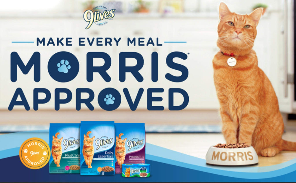 9Lives Plus Care Dry Cat Food, 12 lb. Bag