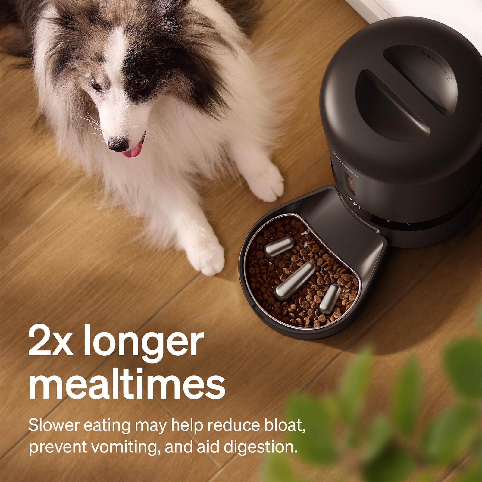 PETLIBRO Automatic Cat Feeder with Camera, 1080P HD Video with Night Vision, 5G WiFi Pet Feeder with 2-Way Audio, Low Food & Blockage Sensor, Motion & Sound Alerts for Cat & Dog Single Tray