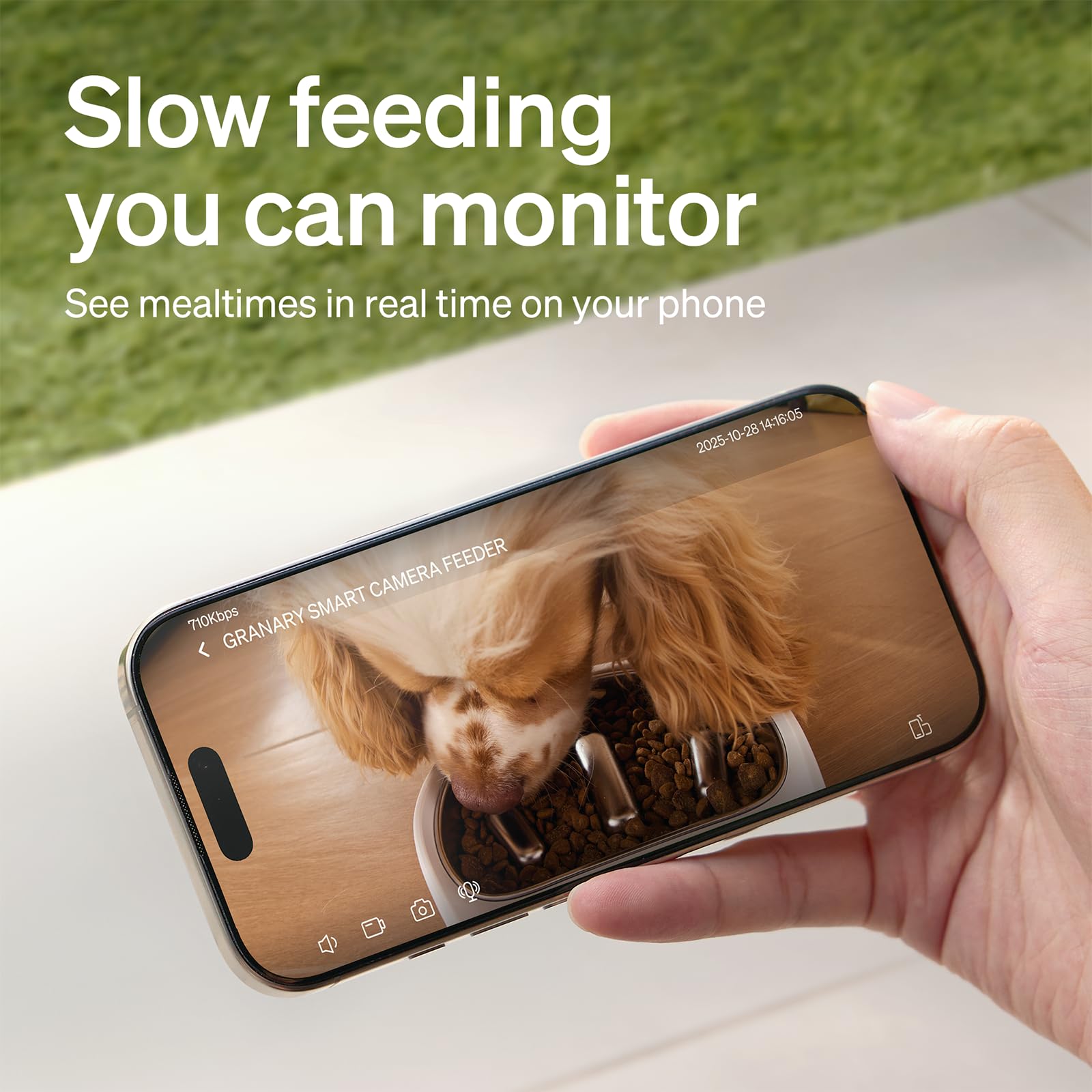 PETLIBRO Automatic Cat Feeder with Camera, 1080P HD Video with Night Vision, 5G WiFi Pet Feeder with 2-Way Audio, Low Food & Blockage Sensor, Motion & Sound Alerts for Cat & Dog Single Tray