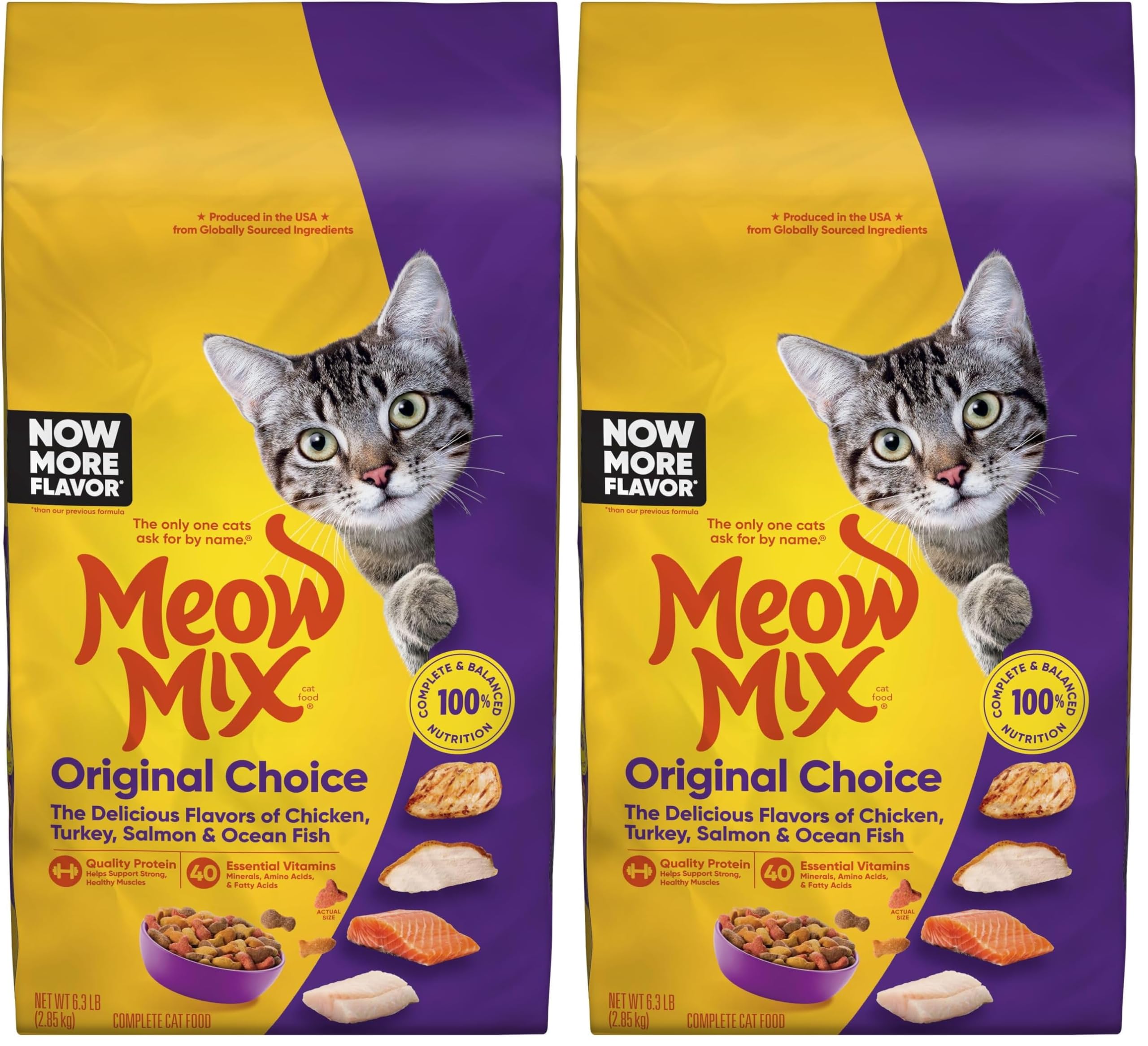 Meow Mix Original Choice Dry Cat Food - Complete Nutrition (6.3 lb)
