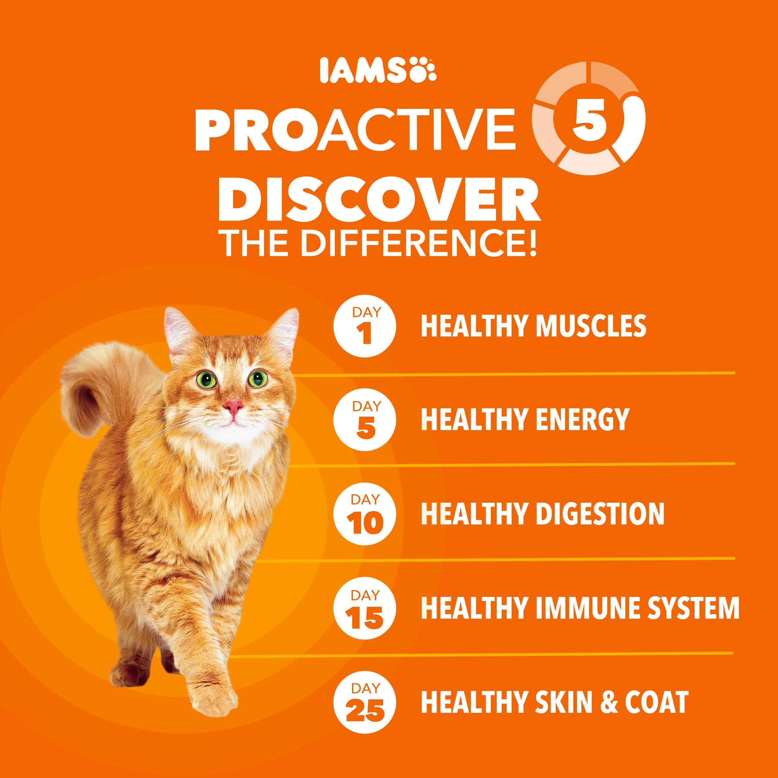IAMS Proactive Health Adult Dry Cat Food with Chicken - Healthy Nutrition (22 lb)