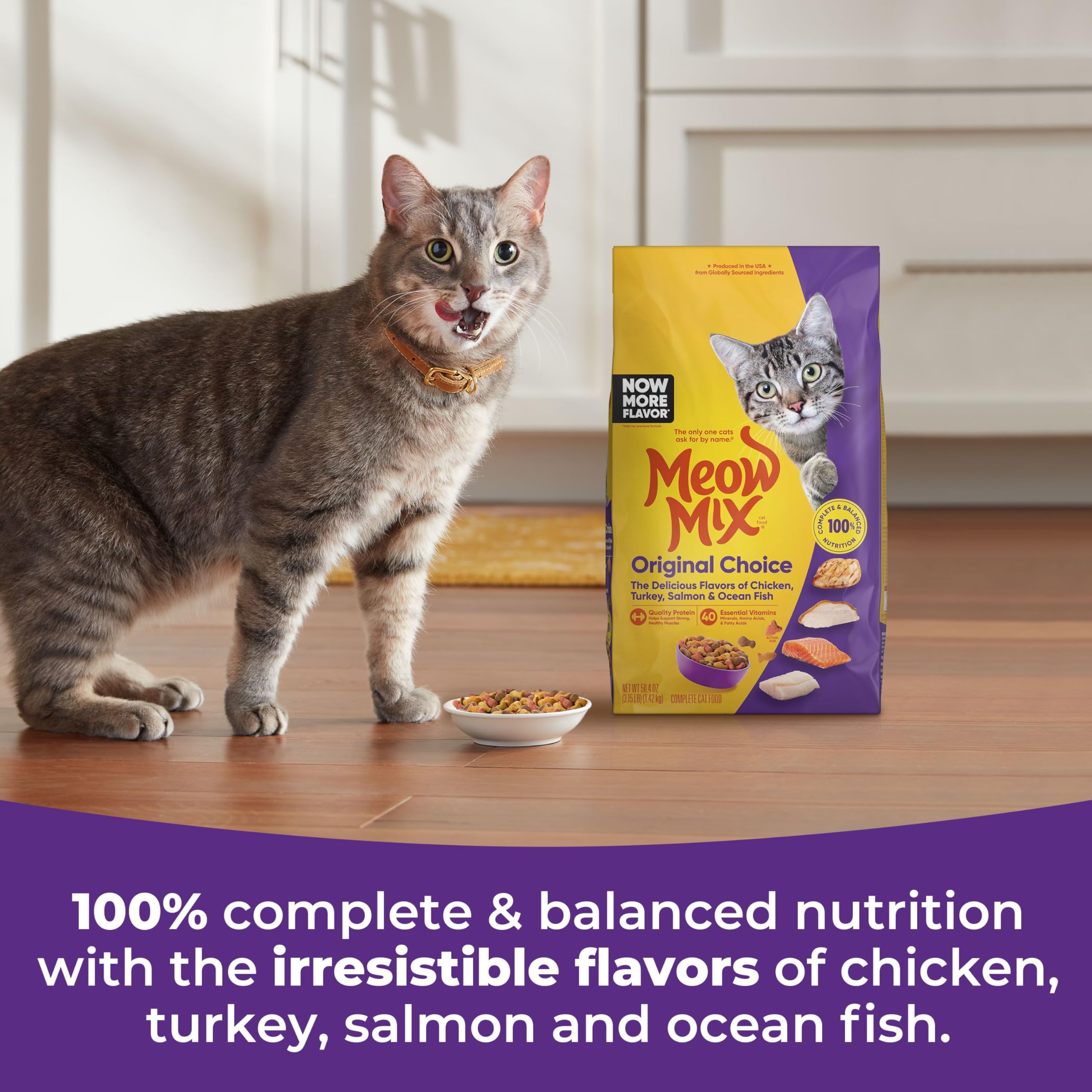 Meow Mix Original Choice Dry Cat Food - Complete Nutrition (6.3 lb)