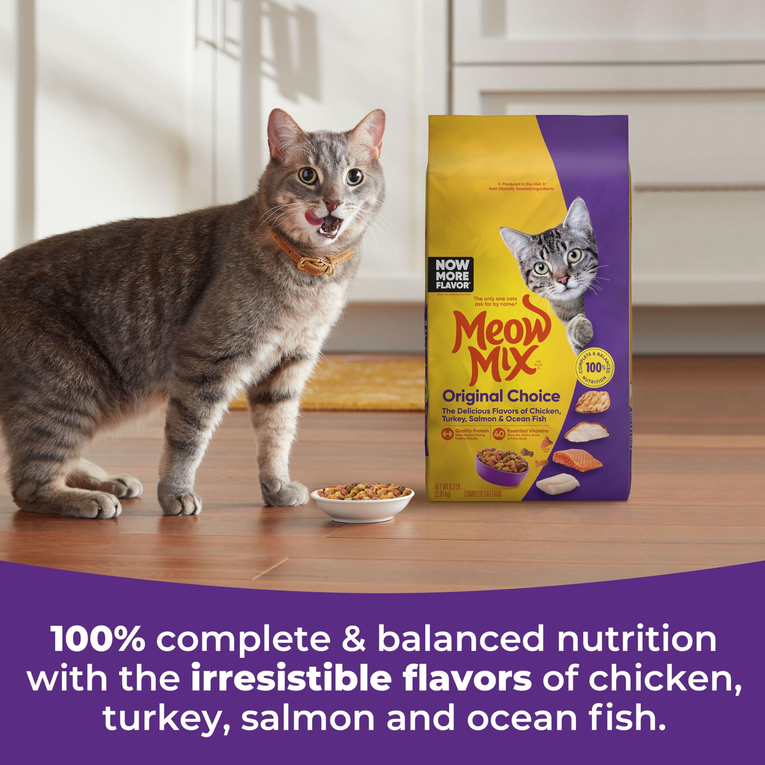 Meow Mix Original Choice Dry Cat Food - Complete Nutrition (6.3 lb)