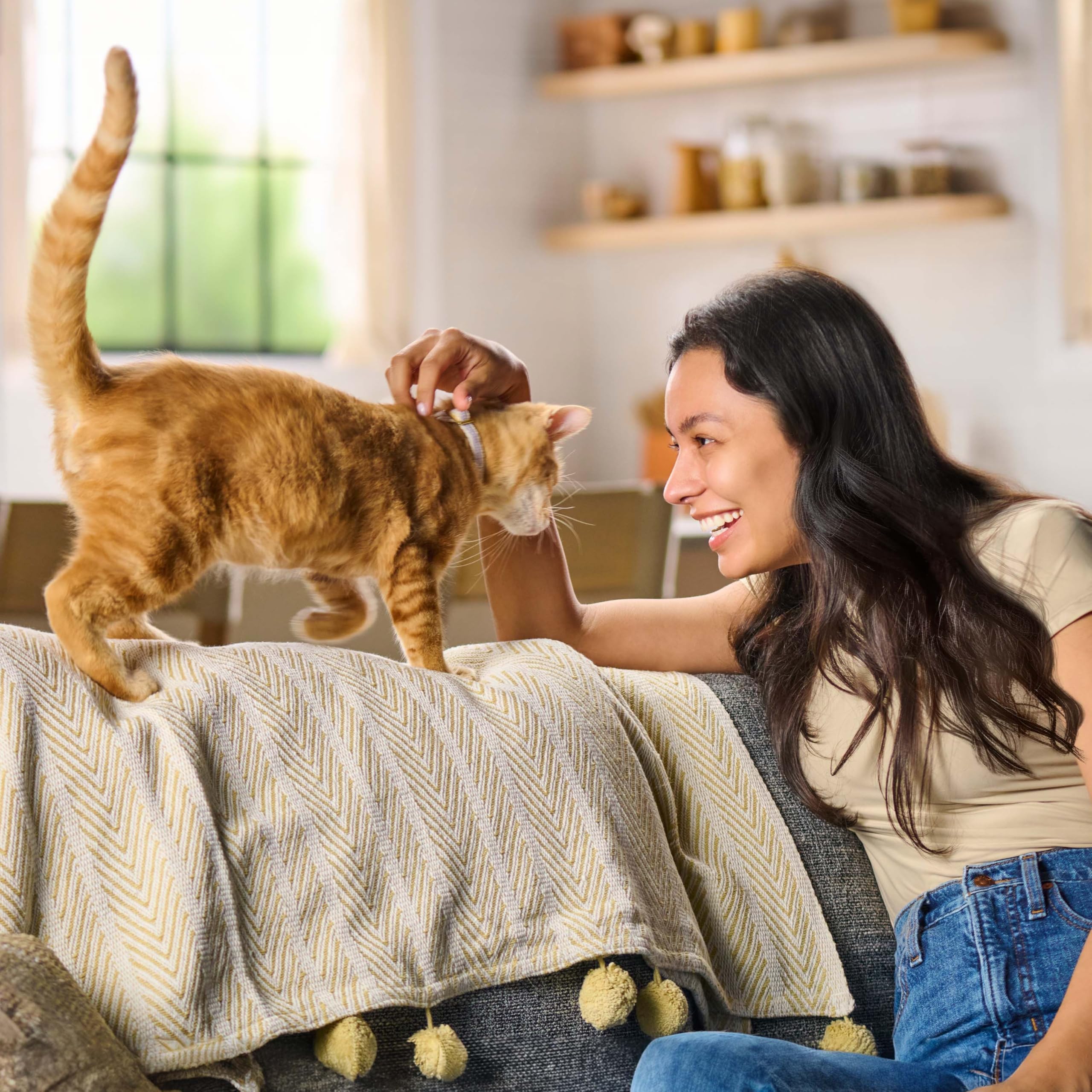 Meow Mix Original Choice Dry Cat Food - Complete Nutrition (6.3 lb)