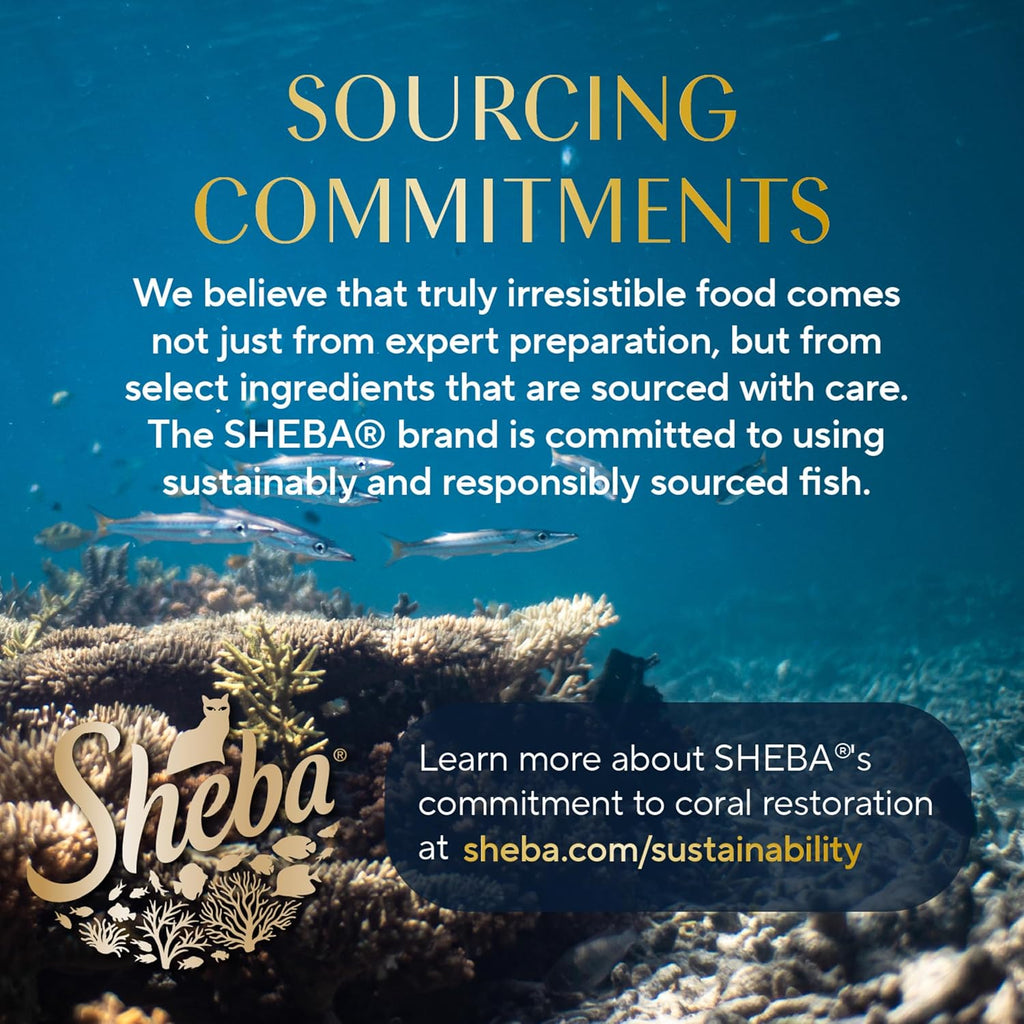 Sheba Perfect Portions Wet Cat Food Pate with Sustainable Salmon and Tender Whitefish & Tuna Entree Variety Pack, 2.6 oz. Twin-Pack Trays (12 Count, 24 Servings) (Pack of 2)