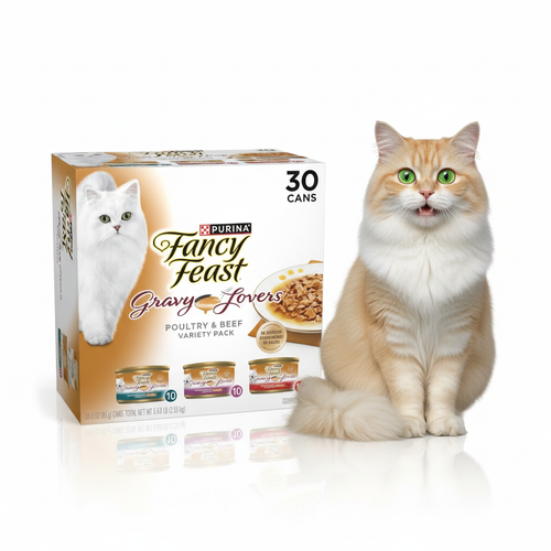 Happy orange tabby cat with Fancy Feast Gravy Lovers variety pack