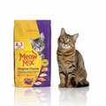 Curious tabby cat with head tilt looking at Meow Mix Original Choice